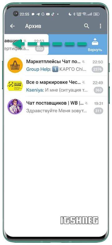 Как сохранить содержимое архива из Google Drive на iOS-устройстве через Telegram?