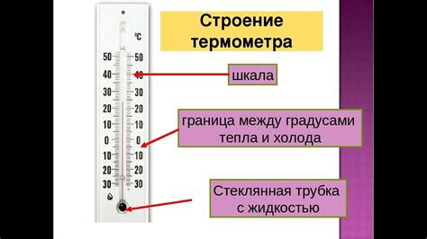 Калибровка термометра: как достичь точных измерений