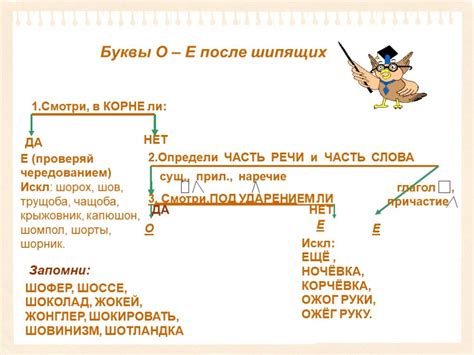 Ключевые правила орфографии и правописания в русском языке