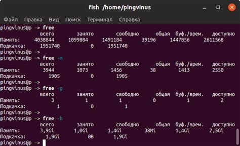 Количество оперативной памяти в Linux