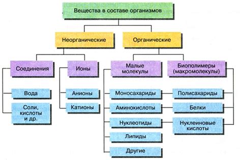 Компоненты и состав