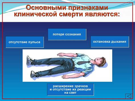 Компоненты первой помощи: ключевые составляющие здоровья сохранения