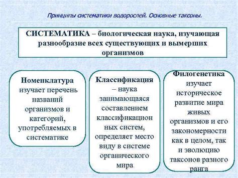 Концепция отнесения и разнообразие пространственной систематики