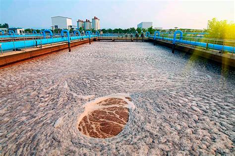 Корректное применение медного сульфата при очистке водоема