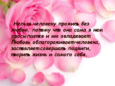 Любовь в высказываниях и поступках: ключевая составляющая счастливых и успешных отношений