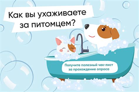 Любовь и внимание: ключи заботы о вашем питомце