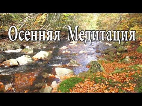 Магия звуков природы - ода мелодии, очаровывающей Россию