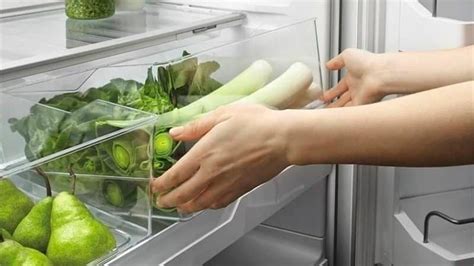 Максимальный срок хранения листьев салата в холодильнике