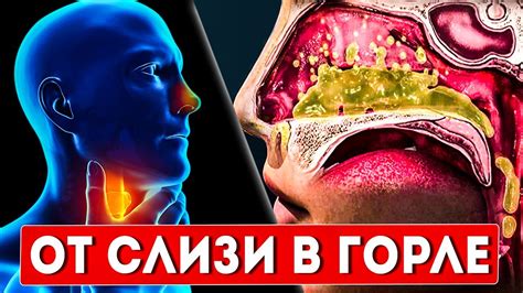 Массажные приемы для удаления мокроты из горла