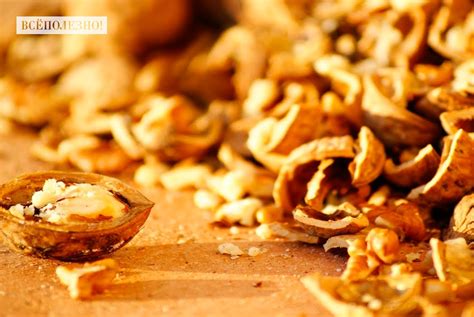 Медицинские свойства и преимущества употребления ореховых листьев для здоровья