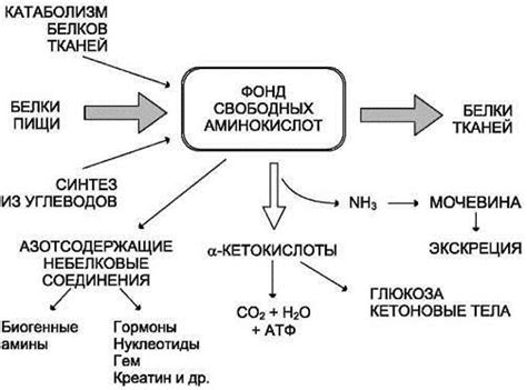 Метаболические изменения в организме