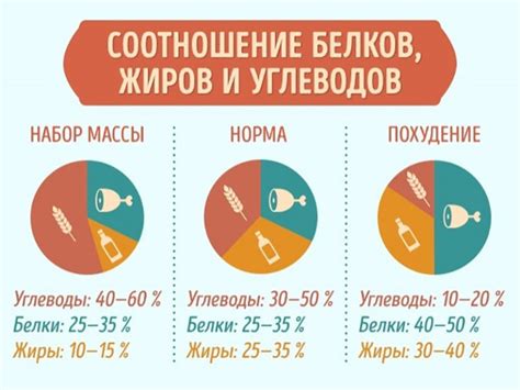 Методика вычисления оптимального потребления белка для взрослых