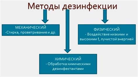 Методы дезинфекции лука и чеснока: традиционные и биологические