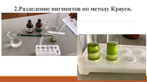 Методы изучения содержания жиров в клетках растений