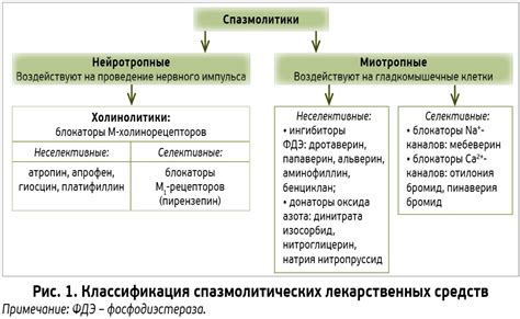 Механизмы действия препаратов