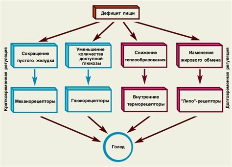 Механизмы развития голода