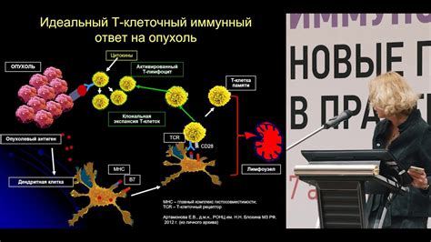 Механизм действия и показания