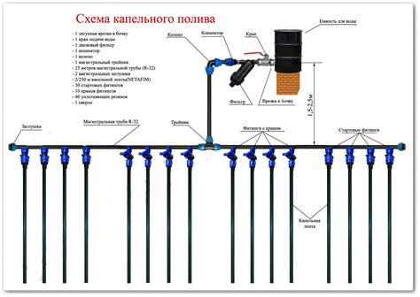 Механизм работы системы капельного орошения