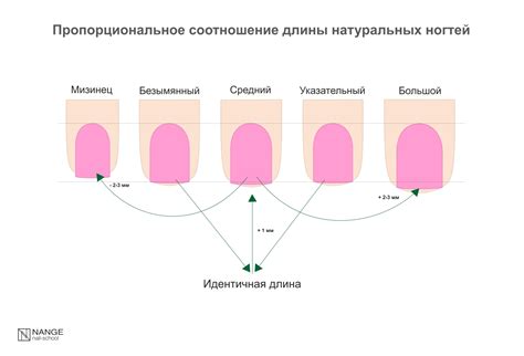 Многообразные методы освобождения натуральных ногтей от лишнего состава