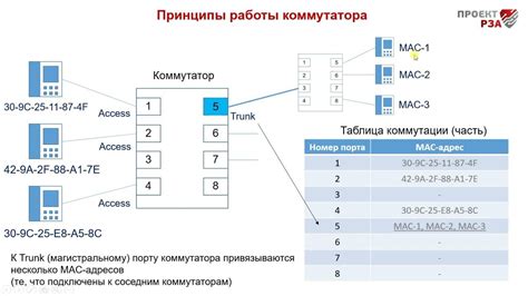 Мониторинг работы коммутатора: обзор и функциональность