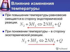 Нагрузка на организм при повышении температуры: бремя и адаптация