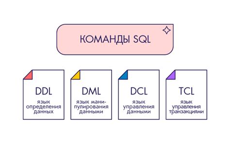 Написание кода и формирование базы данных