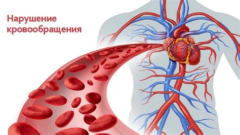 Нарушение кровообращения и гормональный фон