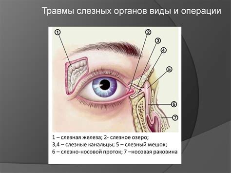 Нарушение функционирования слезных желез