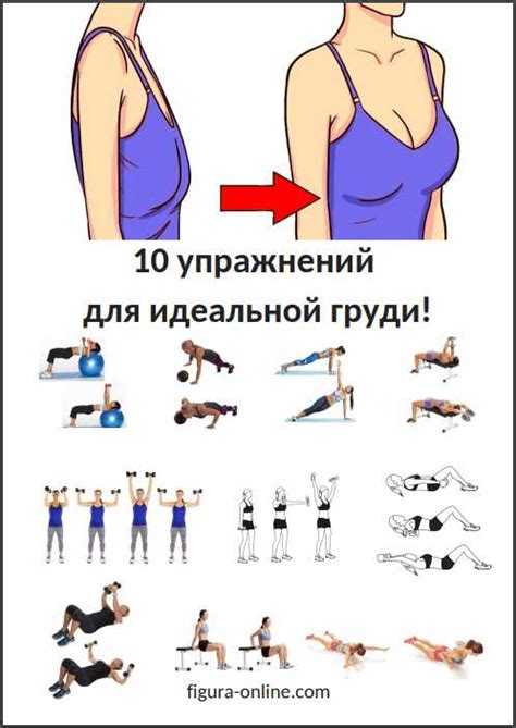 Натуральные методы для укрепления и формирования груди