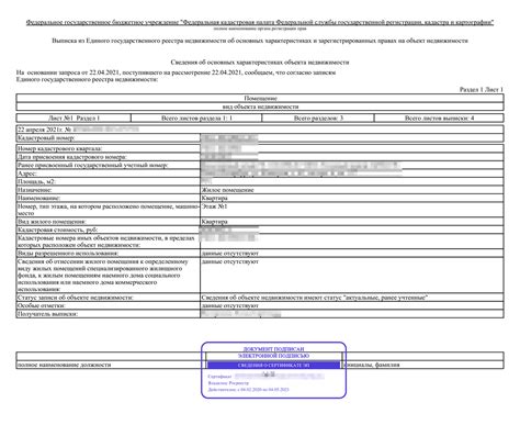 На что обратить внимание при изучении выписки из ЕГРН