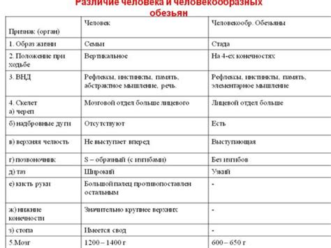 Неврологический механизм и жизенные ситуации: различия в поведении людей и животных