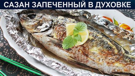 Нежный вкус каждого кусочка: особенности приготовления запеченного сазана с зафаршем в духовке