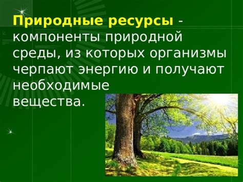 Необходимые компоненты и ресурсы