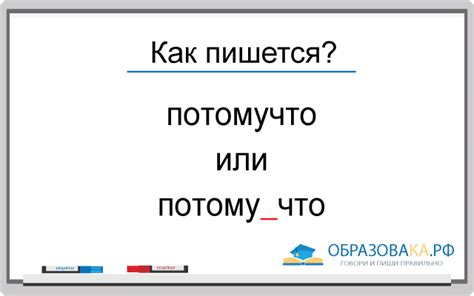 Неорбиталическое правописание: выражение "потому что"