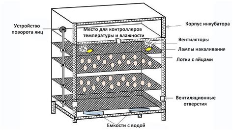 Обеспечение идеальных условий в инкубаторе для максимального развития эмбрионов