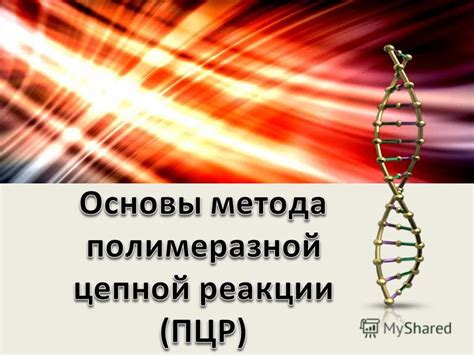 Области применения метода Полимеразной Цепной Реакции