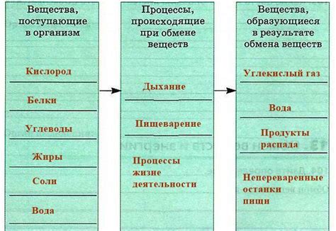 Обмен веществ – неотъемлемая потребность для поддержания жизни у животных