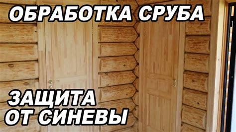 Обработка дерева для сруба бани: эффективные подсказки от профессионалов