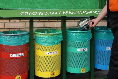 Обработка различных видов мусора и правила его удаления в специальные контейнеры на СНТ