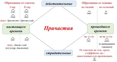 Образование и функции различных форм причастий в русском языке