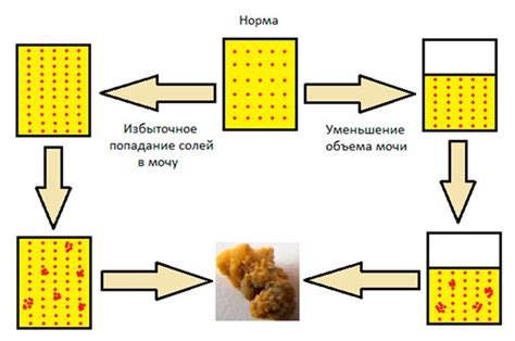 Образование камней и камнеобразных образований