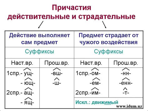 Образование страдательных причастий: примеры и правила