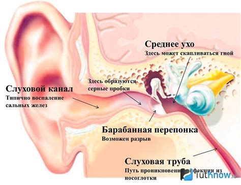 Обратите внимание на внешние признаки дискомфорта в ушах