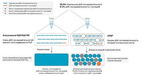 Общая суть метода ПЦР и его основные принципы