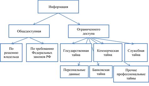 Ограничения доступа к микроблогинговой платформе в России: возникновение и основные факторы