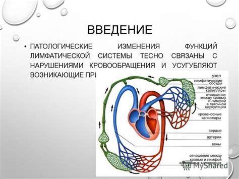 Онкологические заболевания: патологические изменения в лимфатической системе