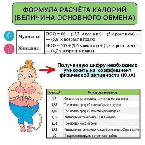 Определение базового обмена веществ (BMR)