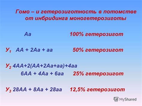 Определение гомо и гетерозигот