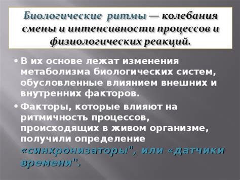 Определение метаболизма: ключ к пониманию процессов, происходящих в организме