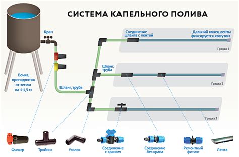 Определение принципа функционирования системы капельного орошения